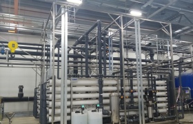 Мираторг, н.п. Черницыно Курской области