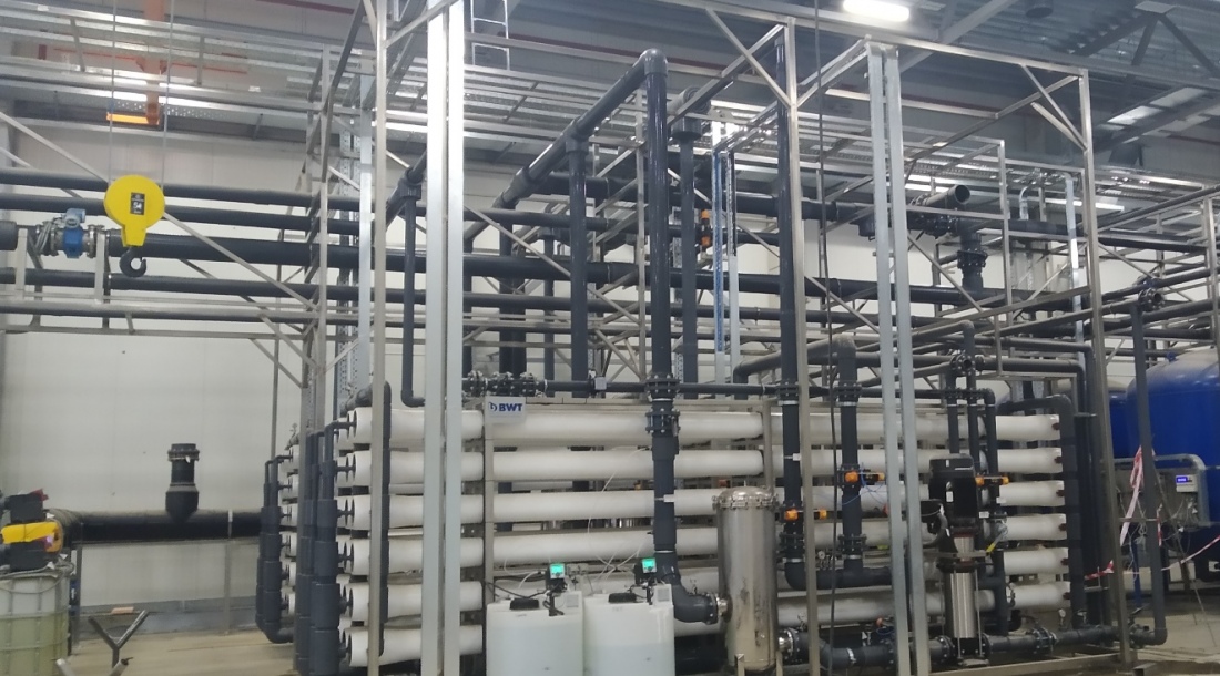 Мираторг, н.п. Черницыно Курской области